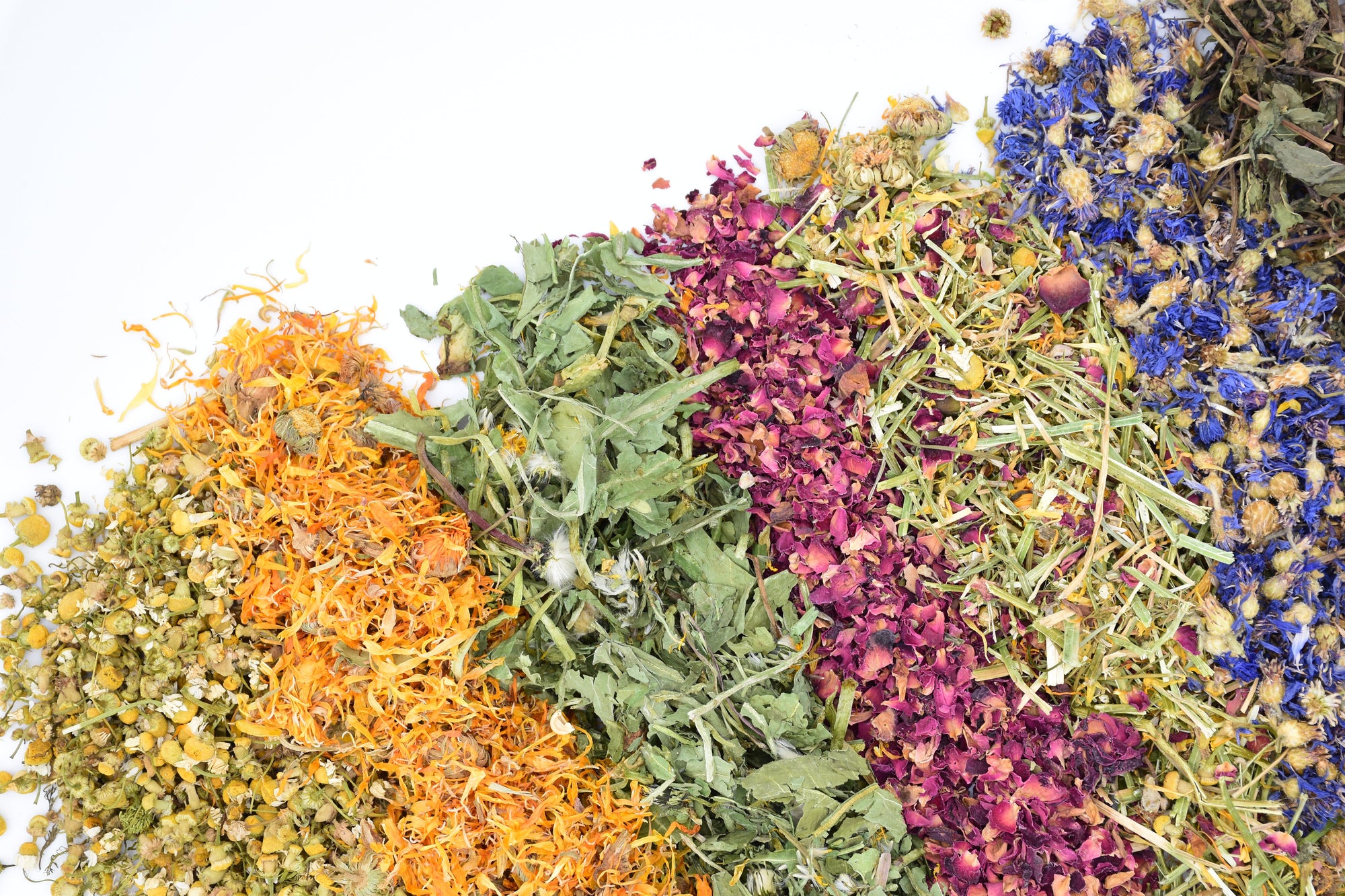 Kräuter / Blüten / Blätter