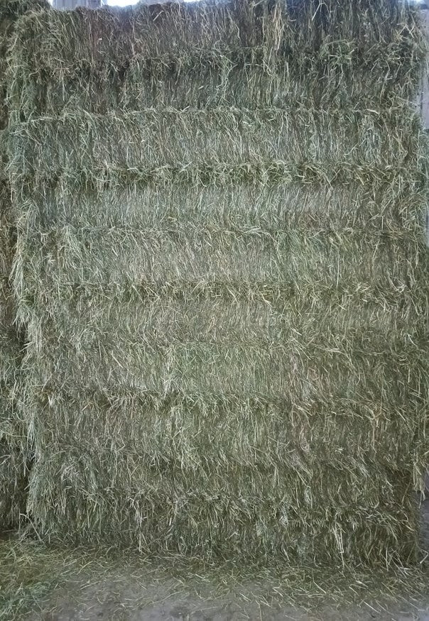 Wiesenheu Quaderballen (1.Schnitt)