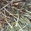 Clover hay (1st cut)