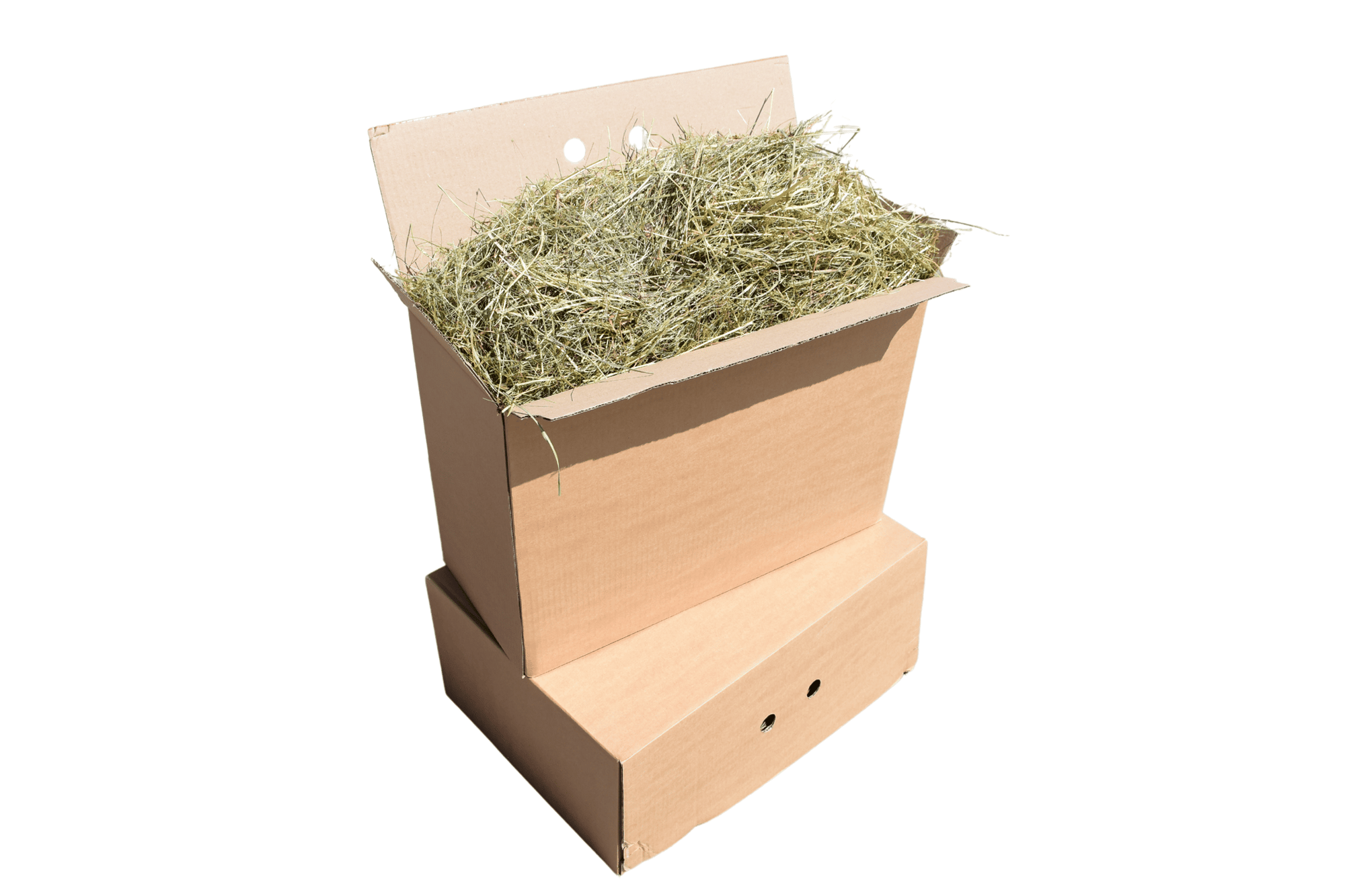 Wiesenheu (1.Schnitt)