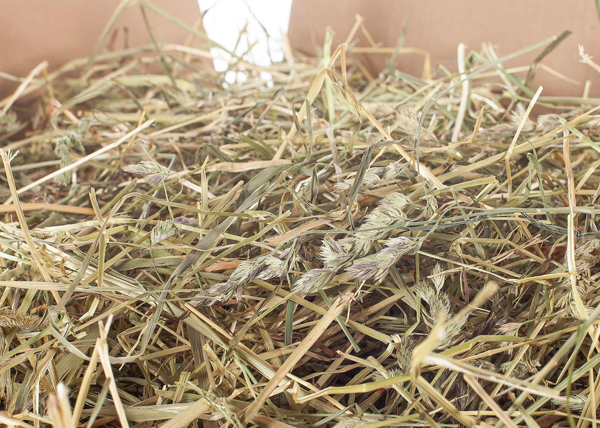 Knabberheu (1.Schnitt grob)